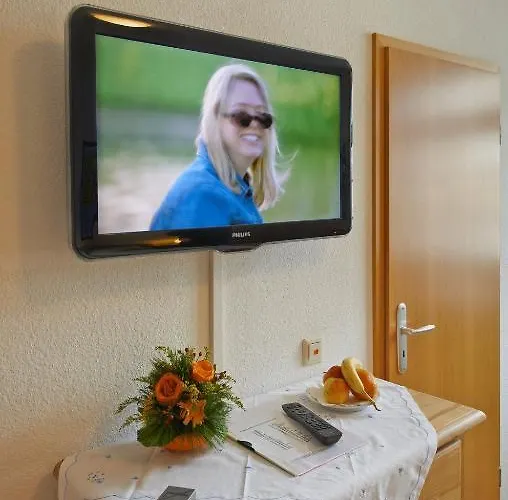 Hotel Grafs Adler 3*